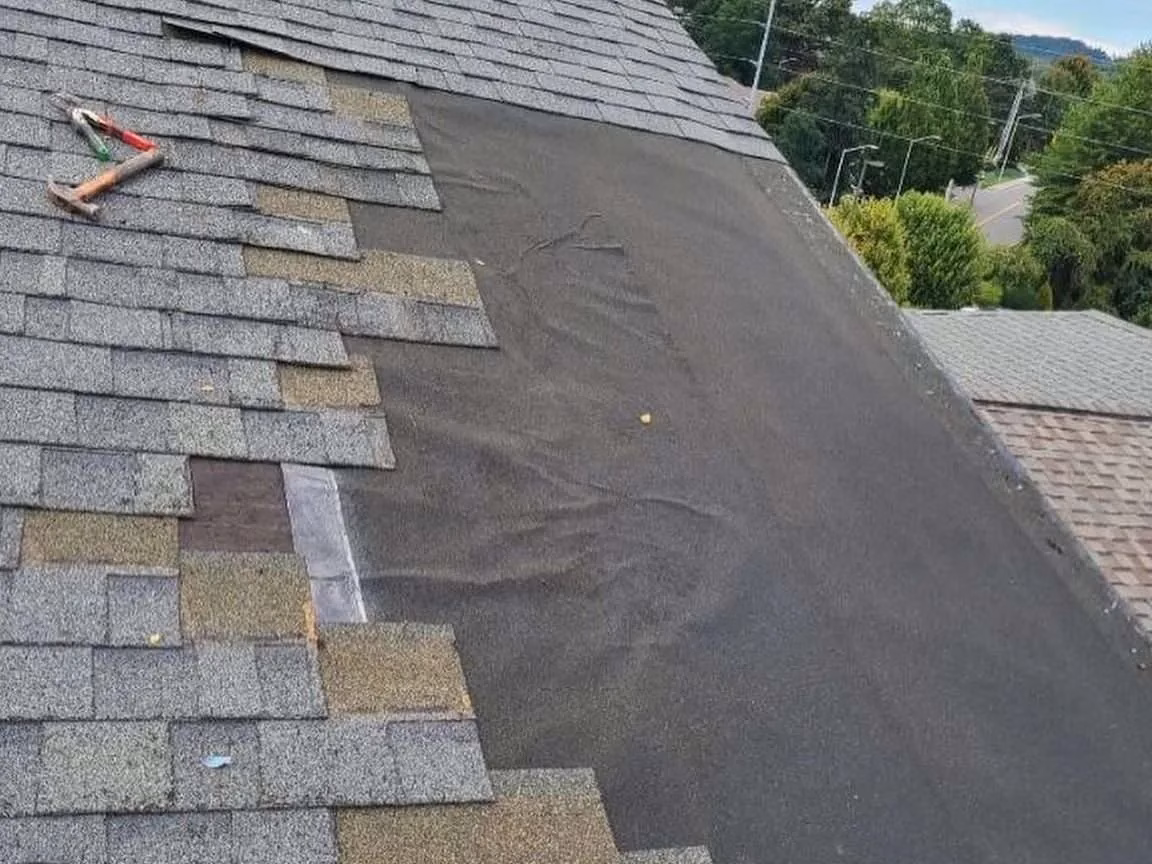 Byrum Builders roof repairs: discoloration in roof shingles.